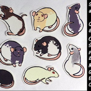 Cute Fancy Rat Stickers Pack of 8 to 10 Made to Order image 2