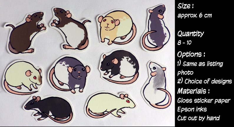 Cute Fancy Rat Stickers Pack of 8 to 10 Made to Order image 2