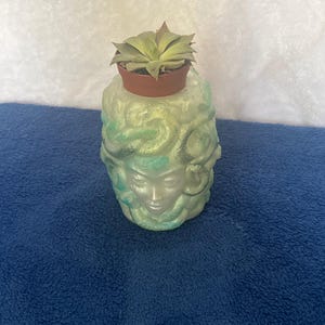 May include: A Medusa head planter in shades of green and white, with a small succulent in a brown pot on top. The planter has a detailed face and snake-like hair. The background is a blue surface.