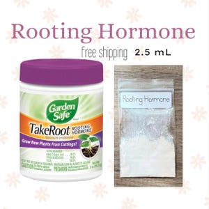 May include: A white plastic bag with a label that reads "Rooting Hormone" and contains a white powder. A clear plastic jar with a purple lid contains a rooting hormone product called "TakeRoot" by Garden Safe. The label reads "Grow New Plants From Cuttings!" and lists the active ingredient as "Indole-3-butyric Acid".
