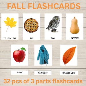 Fall / Flash Cards / Nomenclature Cards / 3-Part Cards / Fall Printable / Homeschool Printable / Homeschool Activities / Fall Theme