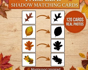Herbst Blatt Schatten passende Karten | Herbst Blätter Bilder | Montessori Druckbare Aktivität | Lernen im Vorschulalter | Kleinkind Sammelmappe PDF