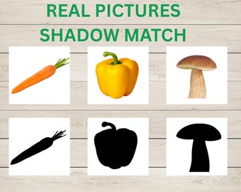 Vegetable Shadow Matching Cards, Montessori Printable, Toddler Learning Activity, Preschool Matching Game, Homeschool Printable, Real Photos