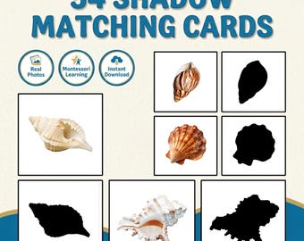 Seashell Shadow Matching Cards | Ocean Preschool Activity | Matching Game | Toddler Learning | Homeschool Ocean Theme | Real Photo Cards