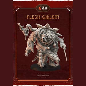 May include: A detailed, gray, flesh golem miniature with multiple eyes and a large, fleshy hand. The miniature is standing on a round base. The text "Flesh Golem" is printed above the miniature. The text "60mm Base Size" is printed below the miniature.
