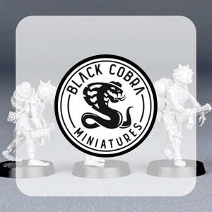 May include: Miniature figurines of soldiers in combat gear. The figures are white and stand on black bases. The Black Cobra Miniatures logo is in the center, featuring a black cobra and the words "Black Cobra Miniatures."