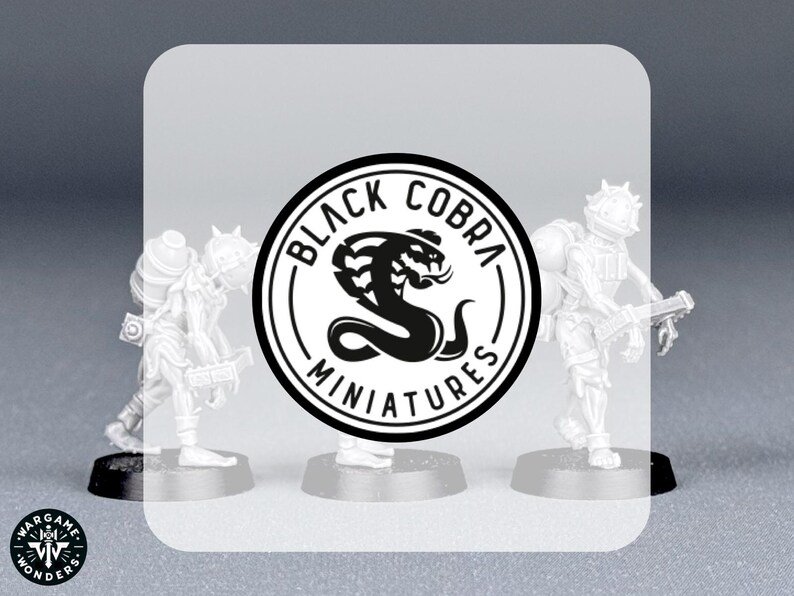 May include: Miniature figurines of soldiers in combat gear. The figures are white and stand on black bases. The Black Cobra Miniatures logo is in the center, featuring a black cobra and the words "Black Cobra Miniatures."