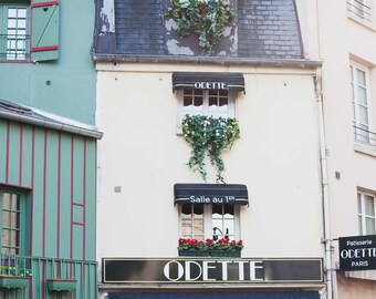 Odette | Paris Art Print | Modern Art Print | Fine Art Photography | Parisian Art | Parisian Buildings | Photography in Paris | Paris Print