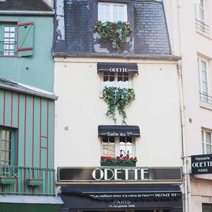 Odette | Paris Art Print | Modern Art Print | Fine Art Photography | Parisian Art | Parisian Buildings | Photography in Paris | Paris Print