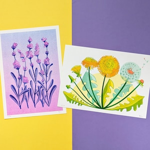 Ensemble de 2 impressions risographiques, lavande + pissenlit, tailles A3, A4, A5. Art mural. Conception florale. Impression d'art originale