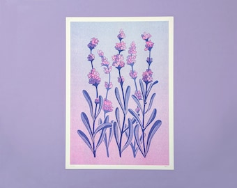 Risographie-Druck. Lavendel. Größen A3, A4, A5. Wandbild. Blumendesign. Original-Kunstdruck. Wohndekoration. Blume