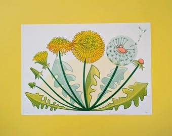 Löwenzahn-Lebenszyklus – Risographie-Druck | Botanische Illustration, Naturdekor, Wildblumenposter | A3, A4, A5