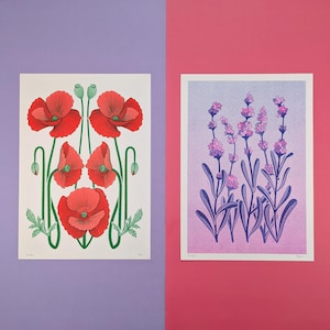 Ensemble de 2 impressions risographiques, coquelicot + lavande, tailles A3, A4, A5. Art mural. Motif floral sauvage. Impression d'art originale