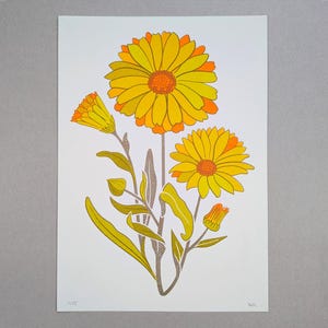 Impression risographique. Calendula. Tailles A3, A4, A5. Art mural. Conception florale. Impression d’art originale. Décoration de la maison. Fleur
