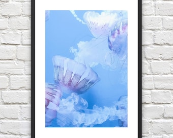 Dreamy Jellyfish Art Print: Pastel Photography Wall Art