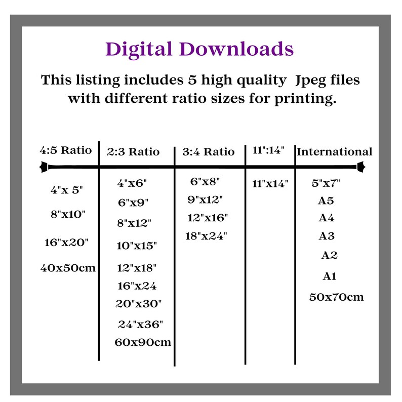 May include: A chart showing different aspect ratios for digital downloads. The chart includes 4:5, 2:3, 3:4, 11:14, and International sizes. The sizes are listed in inches and centimeters.