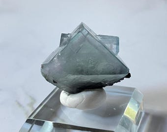 YGX Twin Cube Fluorite - stunning purple edge and green phantom layering inside - with wolframite presentation on the back
