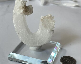 Curled Ram's Horn Selenite, U/C-shaped Curly White Gypsum, Druzy Selenite, Rare Specimen, Fluorescent Selenite, Unique Gift, Crystal Healing