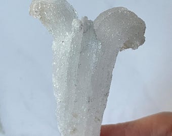 Curled Ram's Horn Selenite, Curly Milky White Gypsum, Druzy Selenite, Rare Specimen, Unique Gift, Crystal Healing