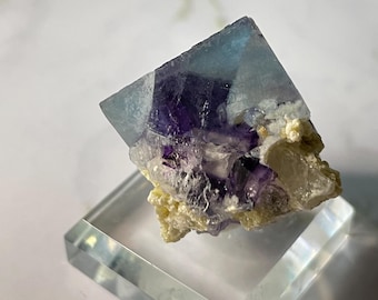 Small Specimens