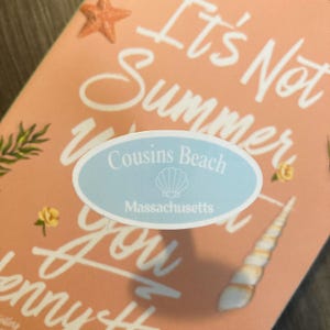 The Summer I Turned Pretty "Cousins Beach" Inspired Stickers image 3