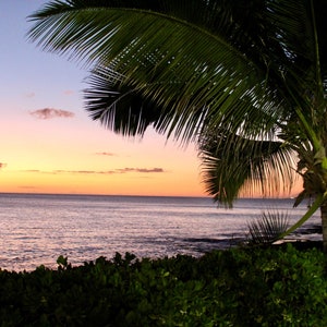 Breathtaking Beach Sunset at Paradise Cove (Digital Downloads)