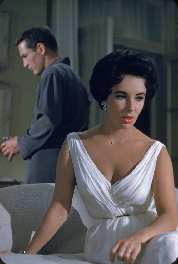 maggie the cat dress