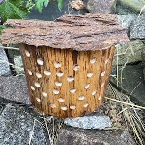 May include: A wooden bee house with a bark roof and multiple holes for bees to nest in. The bee house is sitting on a pile of rocks.