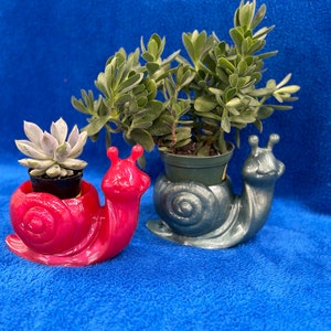 Snail Planter