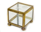 Vintage Glass and Brass Display Box - Clear, Mirror Base, Hinged Lid, 4 Sided, Square, Etched Floral Design, Brass Feet
