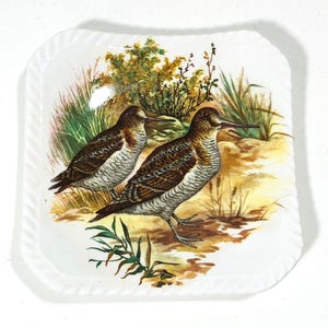 Small Square Treat Plate, "Game Birds" by Royal Adderley, Rope Edge, Full Color Bird Illustration