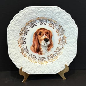 May include: White decorative plate with a square shape and scalloped edges. The plate features a detailed portrait of a dog with brown and white fur, surrounded by a gold floral design. The plate is displayed on a gold stand.