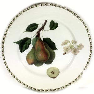 Vintage Dinner Plate, Hookers Fruit Pears by Queens China, Royal Horticultural Society image 2