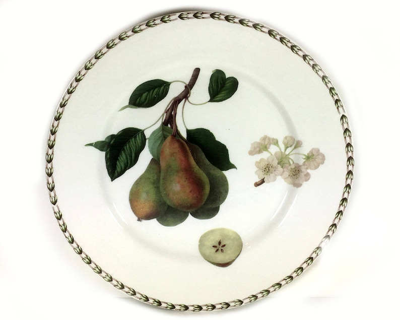Vintage Dinner Plate, Hookers Fruit Pears by Queens China, Royal Horticultural Society image 2