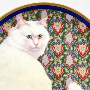 May include: A white cat with one blue and one yellow eye is featured on a decorative plate. The plate has a gold rim, a dark blue border, and a green background with a floral pattern in red, blue, and yellow.