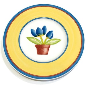 May include: A yellow and blue ceramic saucer with a red and brown flower pot with three blue flowers.