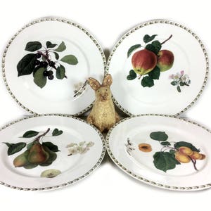 Vintage Dinner Plate, Hookers Fruit Pears by Queens China, Royal Horticultural Society image 4
