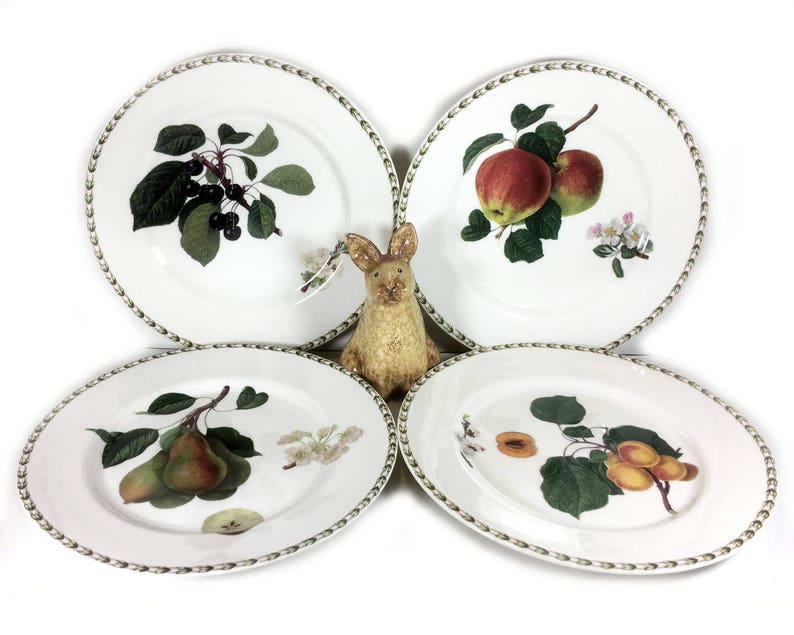 Vintage Dinner Plate, Hookers Fruit Pears by Queens China, Royal Horticultural Society image 4
