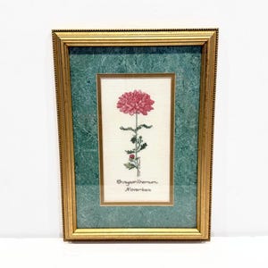 May include: Framed cross-stitch art featuring a pink chrysanthemum flower. The artwork is set against a green textured background and framed in a gold-colored frame. The text "Chrysanthemum November" is stitched below the flower.