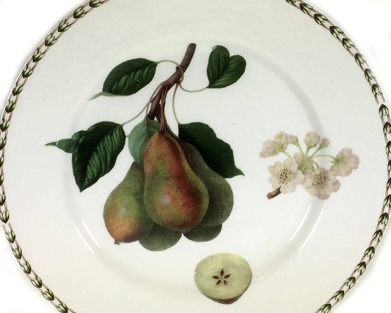 Vintage Dinner Plate, Hookers Fruit Pears by Queens China, Royal Horticultural Society image 1