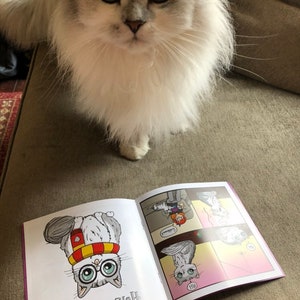 Mini-comic'Meeper'Graphic Novel-Cat Comic-Cats image 4