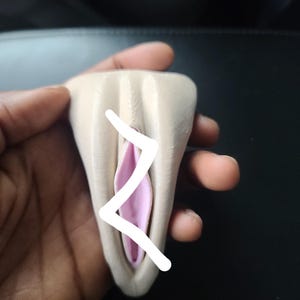 May include: A beige anatomical model of a vulva, with a pink interior. A white zig-zag line is drawn over the model. The model is held in a hand against a dark background.