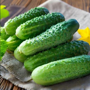Organic Heirloom Cucumber Seeds – Non-GMO, Crisp And Refreshing – Ideal for Garden & Container Growing – High Yield, Easy to Grow