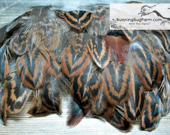 Cruelty Free Feathers Natural Molted Feathers Brown Black Real Bird Feathers Partridge Cochin Hen Feathers For Crafts Qty 30 Size 1.5-2.5"