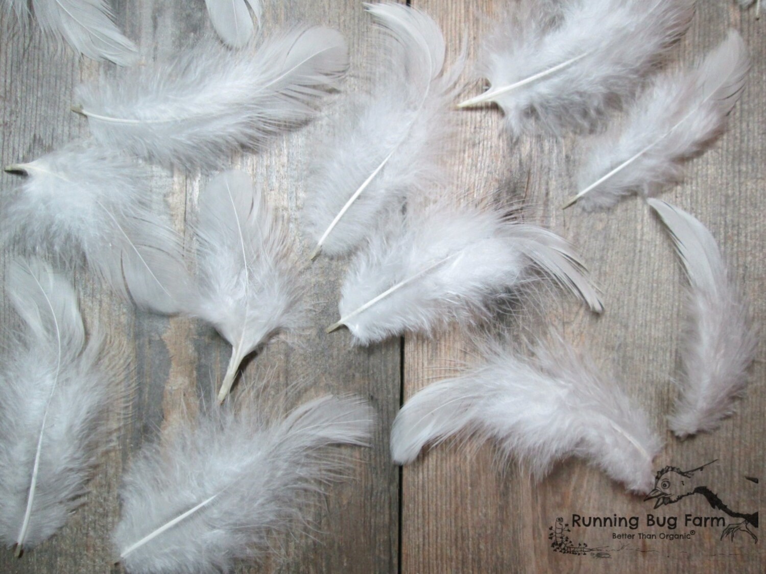 White Feathers Cruelty Free Feathers Natural Feathers Real Etsy