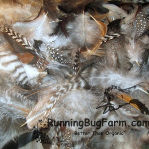 Bulk Pet Feathers 500 Assorted Flawed Feathers For Cat Toys