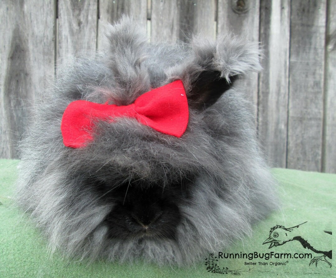 Cruelty Free Black Angora Fiber Rabbit Wool Angora Wool Natural