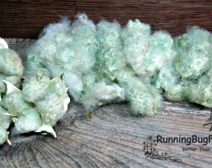 Green Raw Cotton Lint With Seeds Spinning Fiber Arkansas Green Cotton