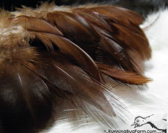 Real Cruelty Free Feathers Ethical Real Bird Feather Loose Natural Chicken Plumes Rhode Island Red Hen Feather For Crafts Qty 25 Size 3-3.5"