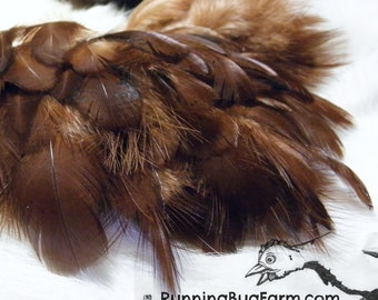 Cruelty Free Feathers Ethically Sourced Real Bird Feather Natural Rhode Island Red Hen Molted Chicken Plumes For Crafts Qty 30 Size 1.5-2.5"